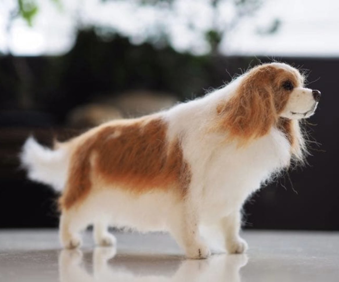 katoreauni's tweet photo. #キャバリア
#羊毛フェルト
#オーダー犬
オーダー犬です♪ https://t.co/8IsiWwtFW6