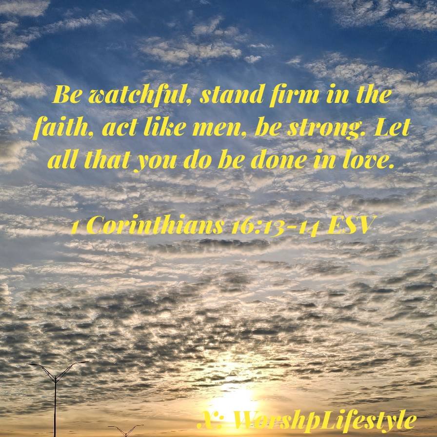 WorshpLifestyle's tweet photo. 1 Corinthians 16:13-14 ESV
Be watchful, stand firm in the faith, act like men, be strong. Let all that you do be done in love.
https://t.co/Pt6IXA7hdD
#BibleVerse #VerseOfTheDay #WorshpLifestyle #WorshipLifestyle #Manliness #Masculinity #Christianity https://t.co/d8S7MXQ4Ve