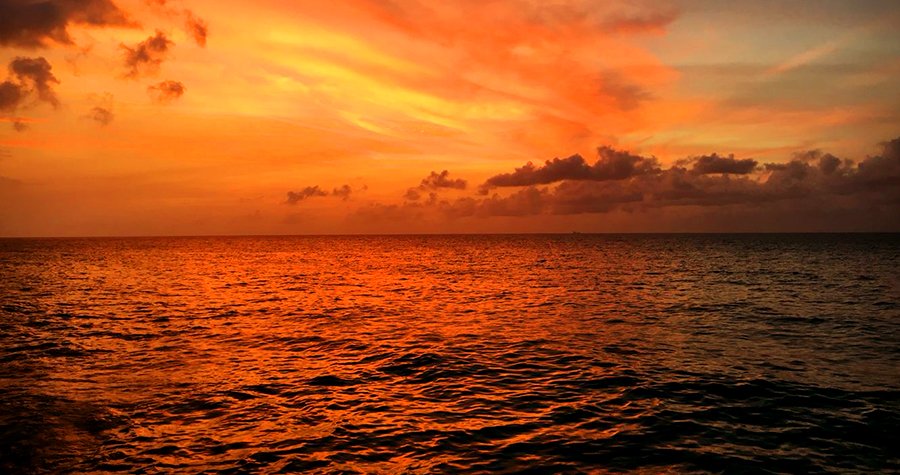 tropicalitytrvl's tweet photo. Pic of the Day…Early Morning 🌅
https://t.co/fTapSTlmhp
#sunrisers #sunrise #sunrisephotography #beach https://t.co/uKi1n9IEbh