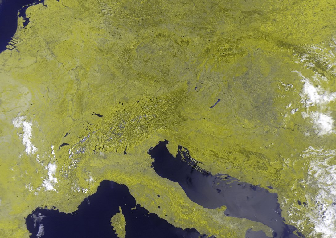 step2018step2's tweet photo. METEO LIVE 2026-08-14 11:30 IT - Meteor M2-N3 Lrpt.
Visita il nostro sito per maggiori dettagli
#14Agosto #meteo #meteolive #meteor #beltempo #pioggia #temporali #sereno #sole #satellite #stepart #i9666vi
π«πβοΈ #fake #allarmismo #socialidiot #AnalfabetismoFunzionale https://t.co/oA2kIDfzsk
