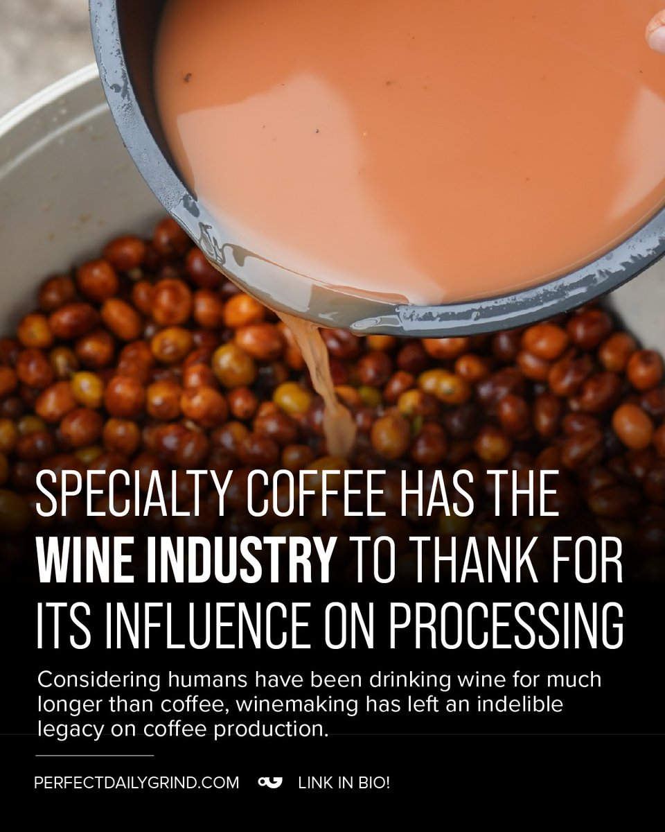 ConsuelaDaauy's tweet photo. Did you catch our article on how the wine industry influenced coffee processing? Comment “wine” to receive it. As producers explore carbonic maceration, winemaking will keep inspiring coffee innovation. https://t.co/wNqJZIKznh