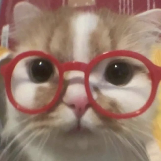 xiongseulgi's tweet photo. 😲～ https://t.co/mvuHyBAIa3
