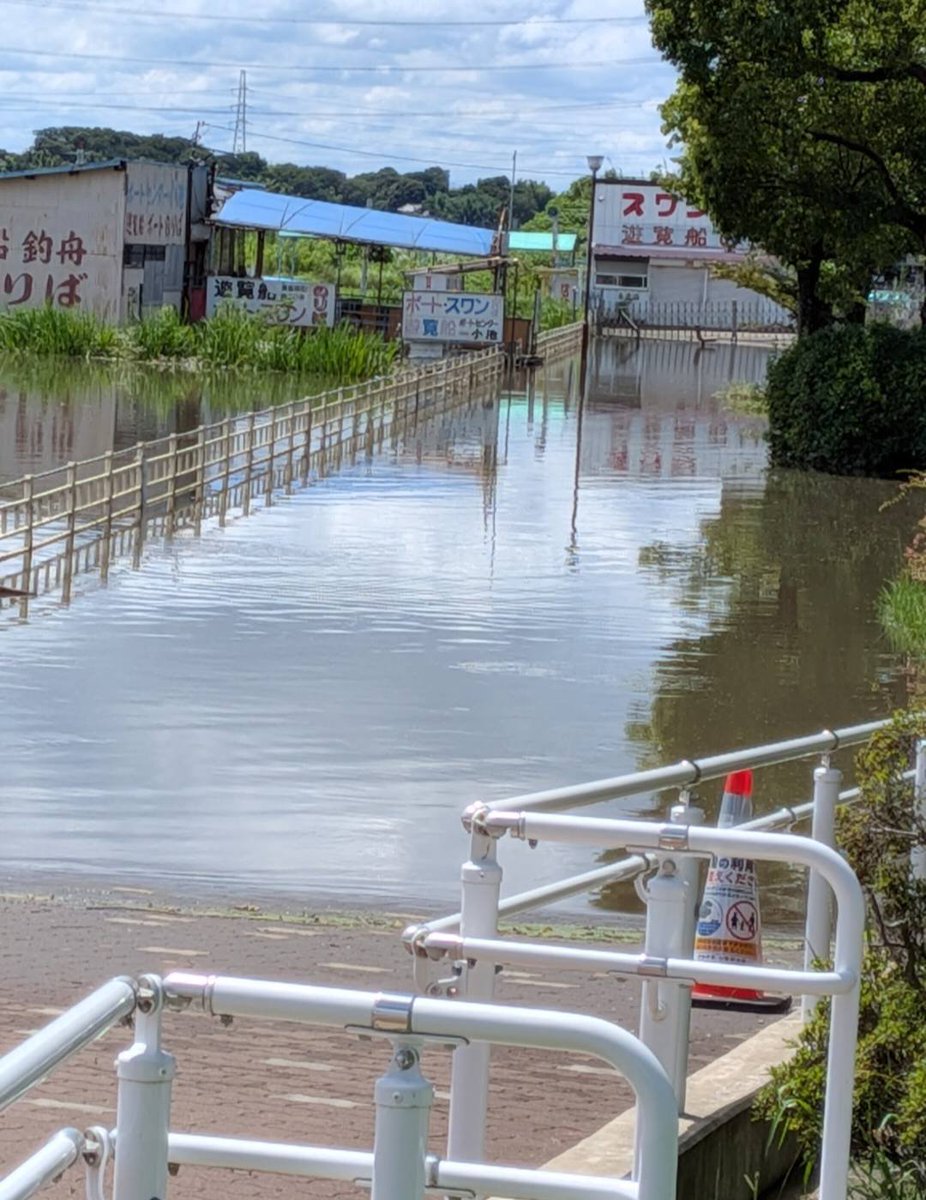 kazu_hide9's tweet photo. 我孫子の手賀沼公園、大雨で沈む https://t.co/xY8SuBIEcJ