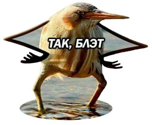 _tanyan's tweet photo. Это я каждый раз со своей кучей вещей, когда приходит время собирать чемоданы https://t.co/fyNfmKwuty