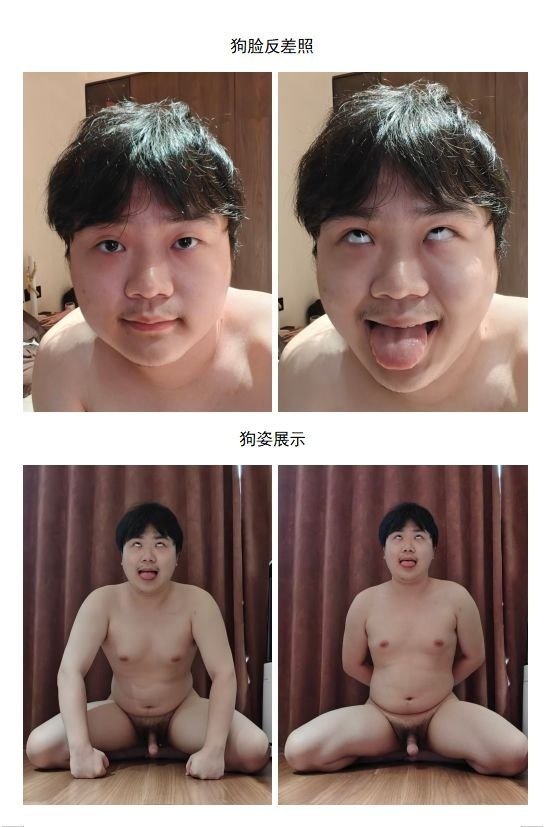 baaadog's tweet photo. #曝光 #狗奴 #贱狗 https://t.co/u8LhqBGvm9