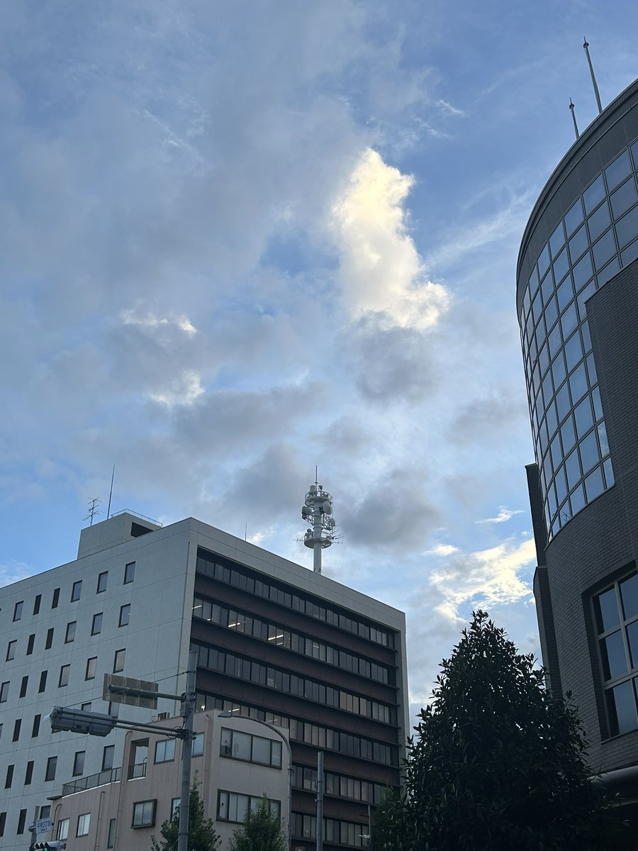 arukanadou's tweet photo. 古本 あるかな堂
本との関係🌼告知など
本日も沢山のご来店、有難う御座います。カバーを拭いていた時、ふと昔を思い出す🙄印刷の仕事をしていた為、製本後、紙粉の掃除など。新人の時は、ひたすら紙折りしていたり、本とは長い付き合いが続いています♪
#古本屋 #本屋苔 #KMGWB https://t.co/gFxNGJBQO4