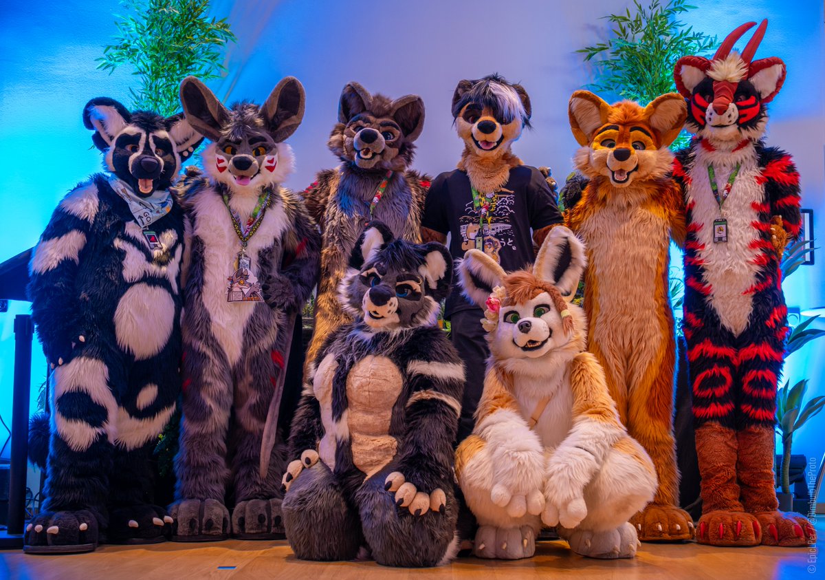 TheKarelia's tweet photo. Happy #fursuitfriday everyone!

Pics taken by @DimbulbTheProto at @Awoostria 2026 ❤️
Fursuits by #thekareliafursuits 
Fursuiters are: 
@RanekM @hatti314 @Jinx_Qoida @ArminaAWD @RakanHowls @sorajona @arkoninu @kurasaiyaart https://t.co/wnI19tBkjV