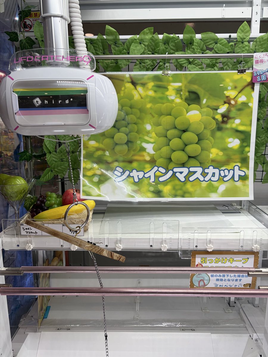 Gacchu_drp's tweet photo. ちょっと苦手意識あった、フック系

玉子3パック 100円
シャインマスカット 800円
食器用洗剤 4本 200円
コーラ1.5L 4本 600円
計1700円

(*•̀ㅂ•́)و✧ https://t.co/S28eZdJD2O