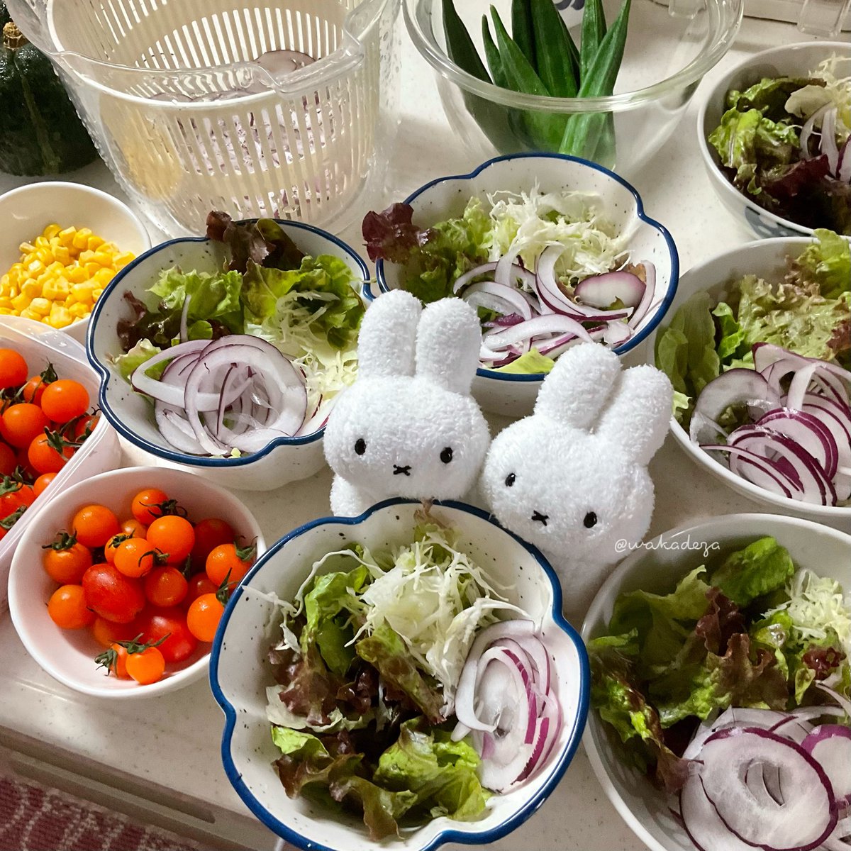wakadeza's tweet photo. 暑いから、ごろごろしてVIVANT観てたかったけど、
がんばってサラダ作った🥗

もうクタクタ…😂

家族のリクエストで冷やし中華まで作ったのよ…

🐰🐰「えらいよー！」 https://t.co/9mHvCLYZWo