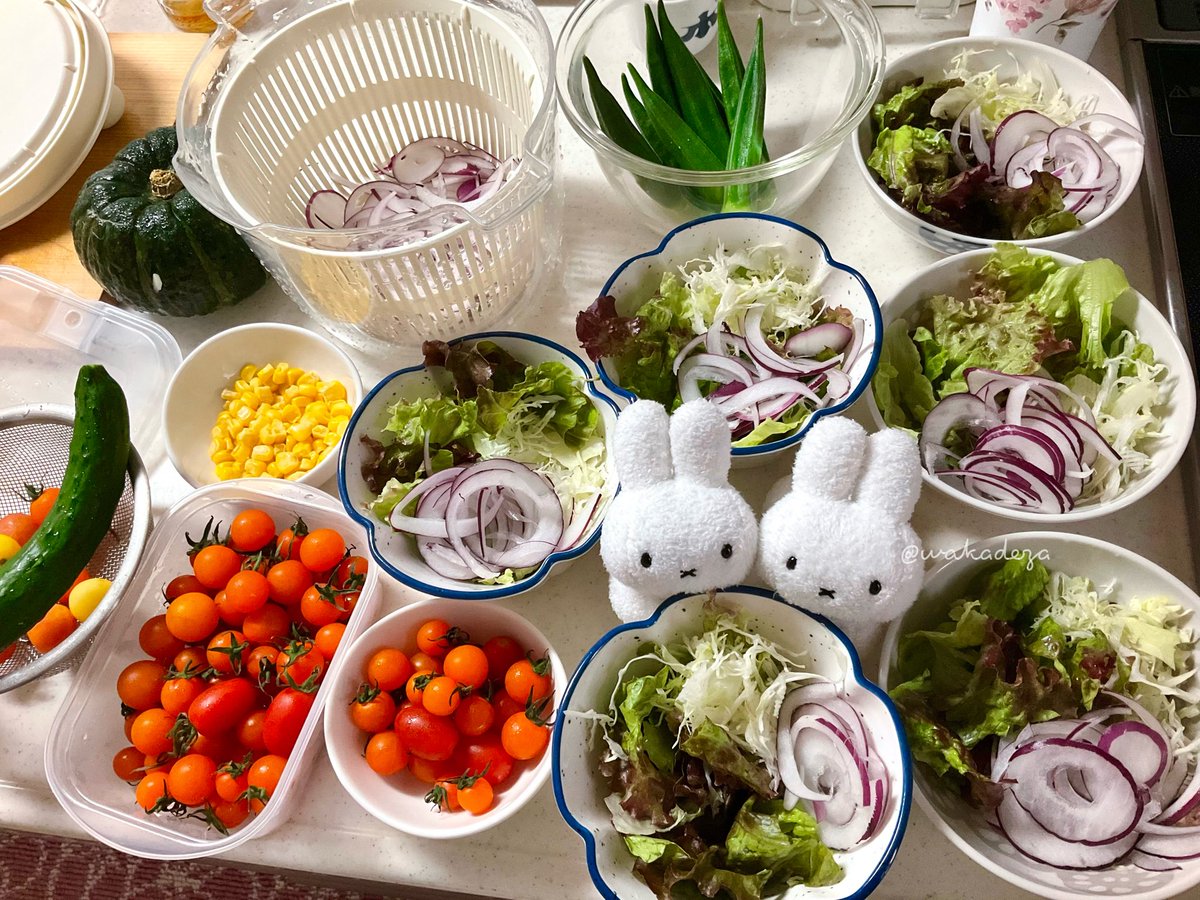 wakadeza's tweet photo. 暑いから、ごろごろしてVIVANT観てたかったけど、
がんばってサラダ作った🥗

もうクタクタ…😂

家族のリクエストで冷やし中華まで作ったのよ…

🐰🐰「えらいよー！」 https://t.co/9mHvCLYZWo