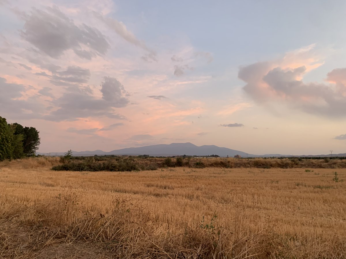 todofoba's tweet photo. pf chicos, he hecho mi primer viaje sola, me he ido a un monasterio de la ribera de navarra, me he pasado los días caminando, leyendo, hablando con gente de +60 años, vi el eclipse con mis compañeros del monasterio, las monjas me llamaban por mi nombre; la vida es maravillosa https://t.co/ASZzCeyfl2