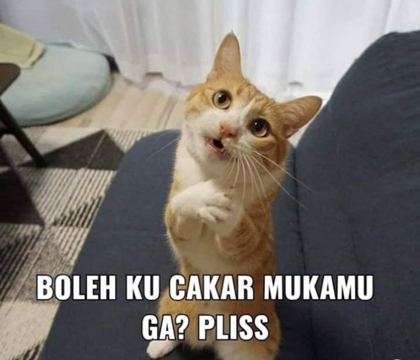 spicyramyon's tweet photo. @nefertarigie @its___bonnie Kakkk jan gituuu 🫵🏻😭 https://t.co/0D3CZzCoJb
