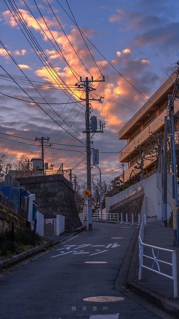 AudreyYettyw's tweet photo. 最近はめちゃくちゃ暑い日が続いてるけど、涼を求めて近所の川沿いを散歩するのにはまってる。水音と緑に癒やされて、頭がすっきりするんだよね。夜の散歩もいいけど、日中の陽射しも気持ちいい https://t.co/EUczVViDSx