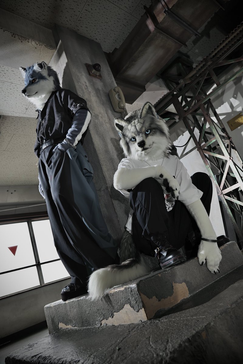 Loska_Schnee's tweet photo. The Bad Guys

🐺📸@misosiru1026 

#FursuitFriday https://t.co/9ABOHyeu3i