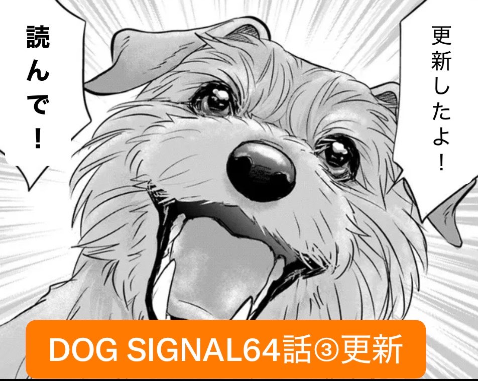 みやうち沙矢▶︎DOG SIGNAL (@saya_miyauchi) / Posts / X