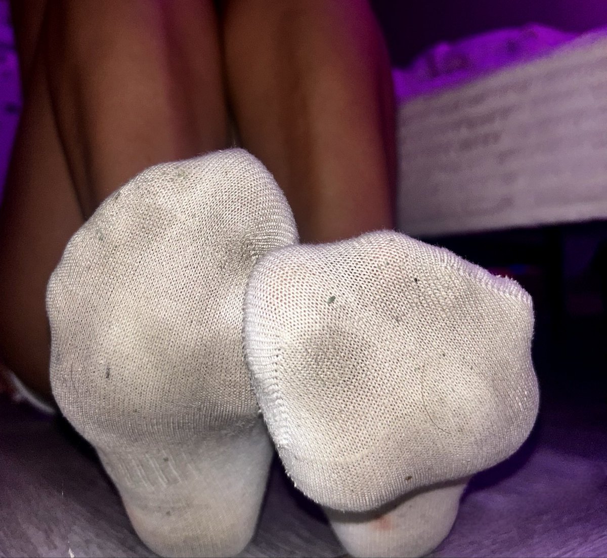 broke4bb's tweet photo. he is so obsessed with my socks https://t.co/XM2AB0QKtm