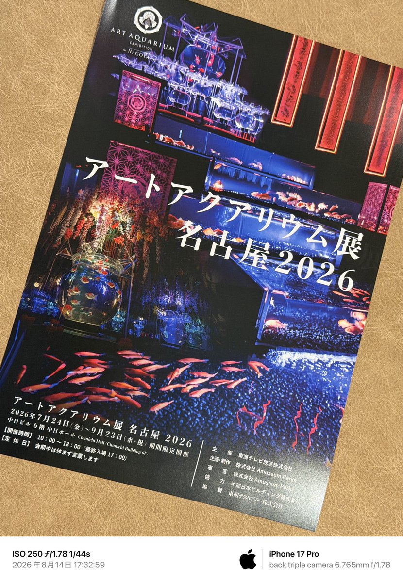 WildCat2026jp's tweet photo. 金魚を見に行ってきました。 https://t.co/u0HwRowub1