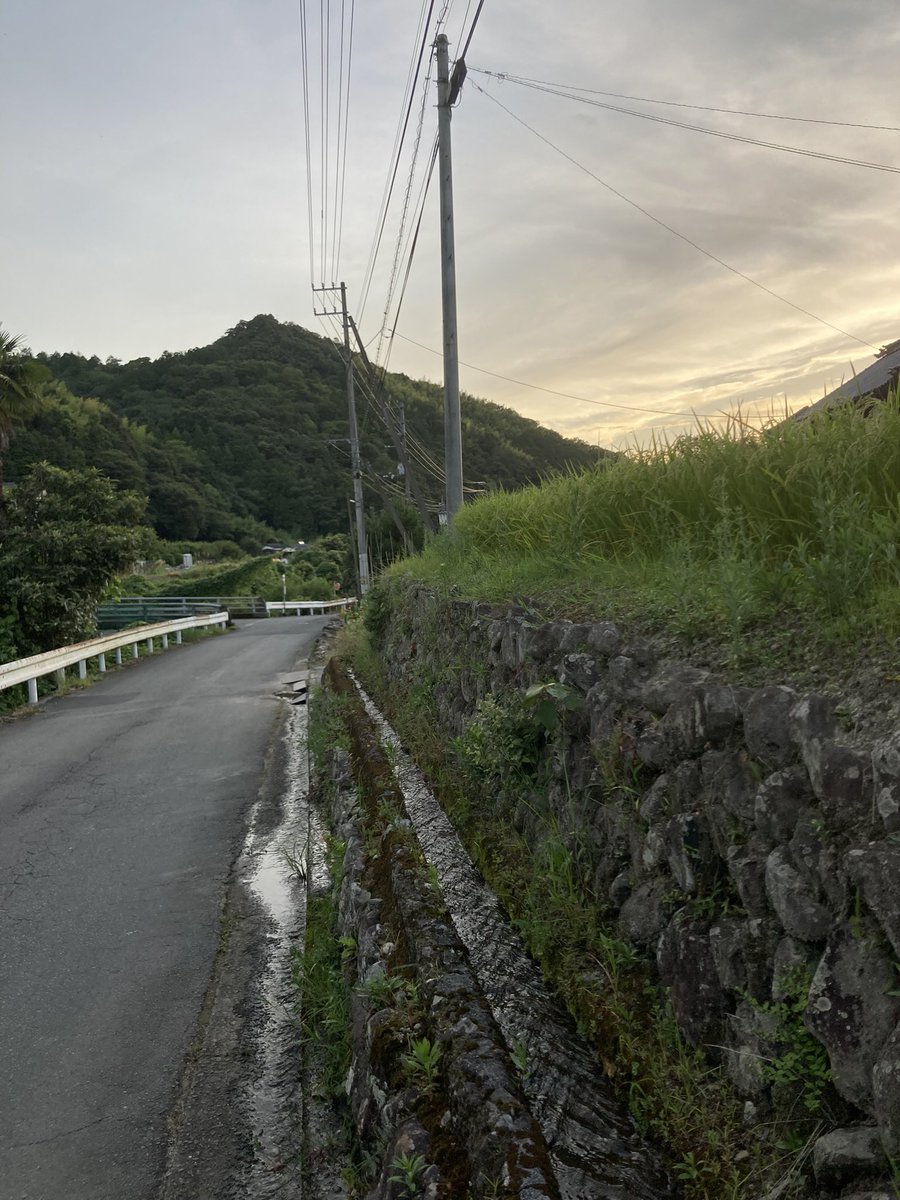 ogushimori's tweet photo. お盆の真ん中の夕暮れ。
亡き人の2泊3日の現世帰りは短いな…とすこし寂しい。
海も山も近い宇和島で、魂は山の頂きにいるのでしょうか、海の向こうでしょうか。 https://t.co/R26CIJHHyM
