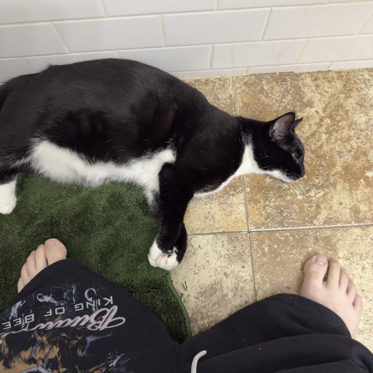 assprinpls's tweet photo. the morning ritual #yep https://t.co/CtaIWySPiP