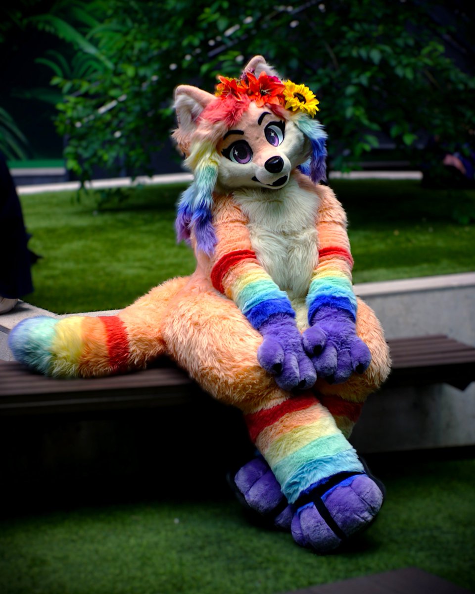 Sickafox's tweet photo. You can't tell me I'm not cute ✨
Happy #FursuitFriday

📸 @/MapacheCabron
🪡 @/Glitzy_Fox https://t.co/947thF3BYt