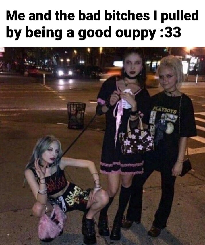 stoxped's tweet photo. puppyposting day 38 https://t.co/qfAg97dOYc