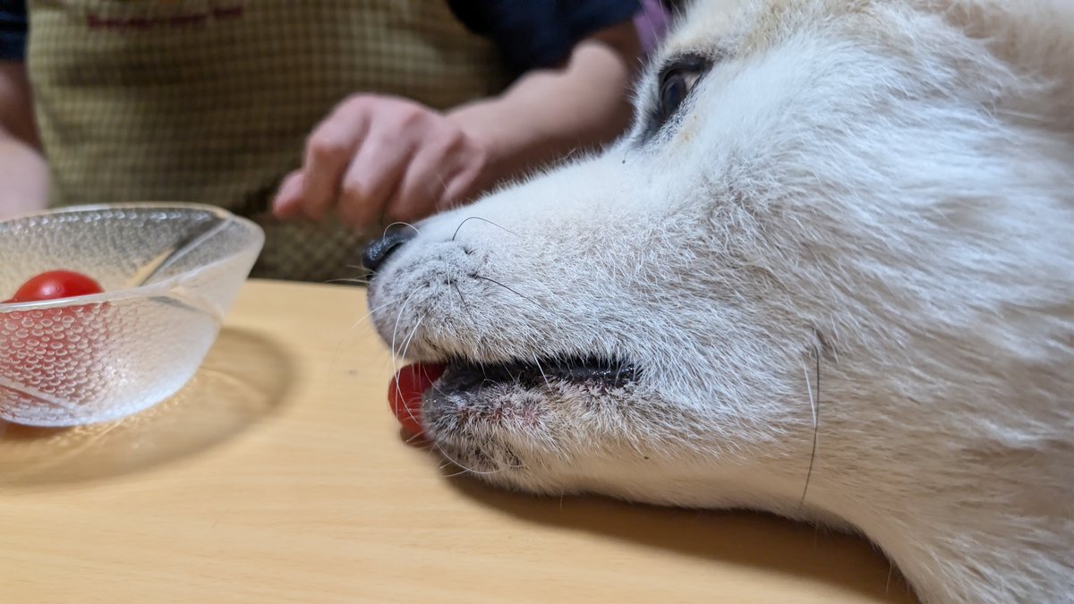fancy_hut's tweet photo. ふぬ〜〜!!

と、届いた♪ https://t.co/gm4OlYSfBG