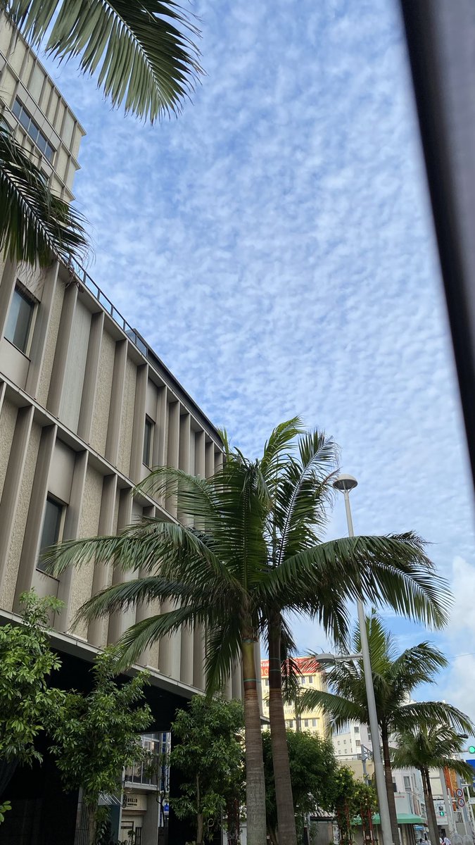 7216mee's tweet photo. 明け方…寒い⁈と思ったら
なんだか秋の空⁈
まだ8月だけどね。
FALL FALLS https://t.co/joOxvyQS24