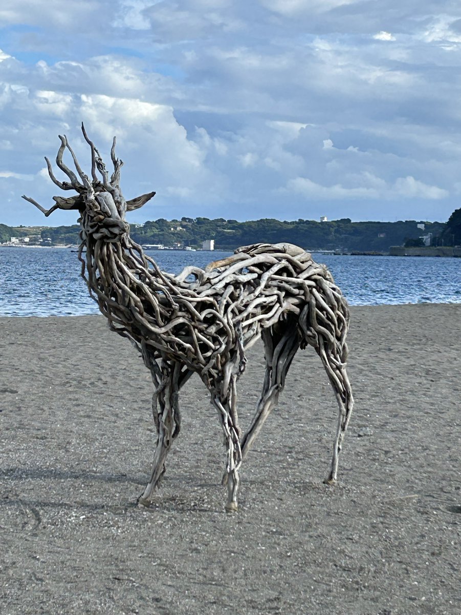art_ogi's tweet photo. 夕方三浦海岸のアートイベントへ。古着屋一縷さん2Fで展示されている『往環を績み、』の開催に至る経緯のマンガは妹が担当。ビーチに出たら大きな虹が出ていた！海から出て海に沈む虹。芙蓉荘での展示も見て、西陽に照らされながら帰宅。あと2会場はまた後日。
#三浦海岸 #汀線 #ichiru #FUNBEACH https://t.co/WOIppMkf6D