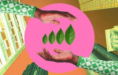 DevilMountainIM's tweet photo. Building a sustainable business isn't the same as a conventional startup. https://t.co/FCfcov1hSP https://t.co/bDoD4LRelk
