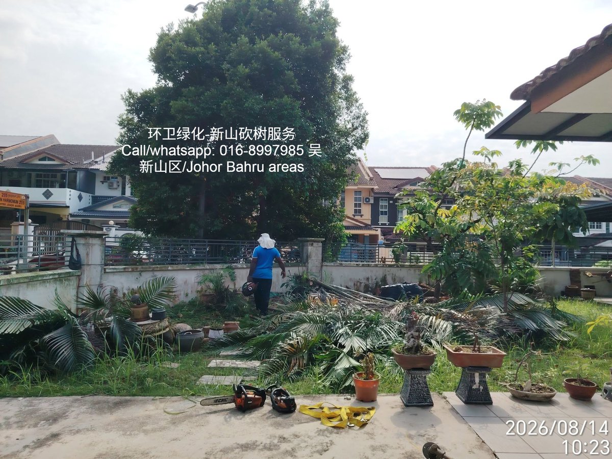 NGYANG4's tweet photo. 新山砍树服务 016-8997985 (新山区) Tree cutting services Johor Bahru 016-8997985 (Johor Bahru areas) https://t.co/yVrghPDYDE