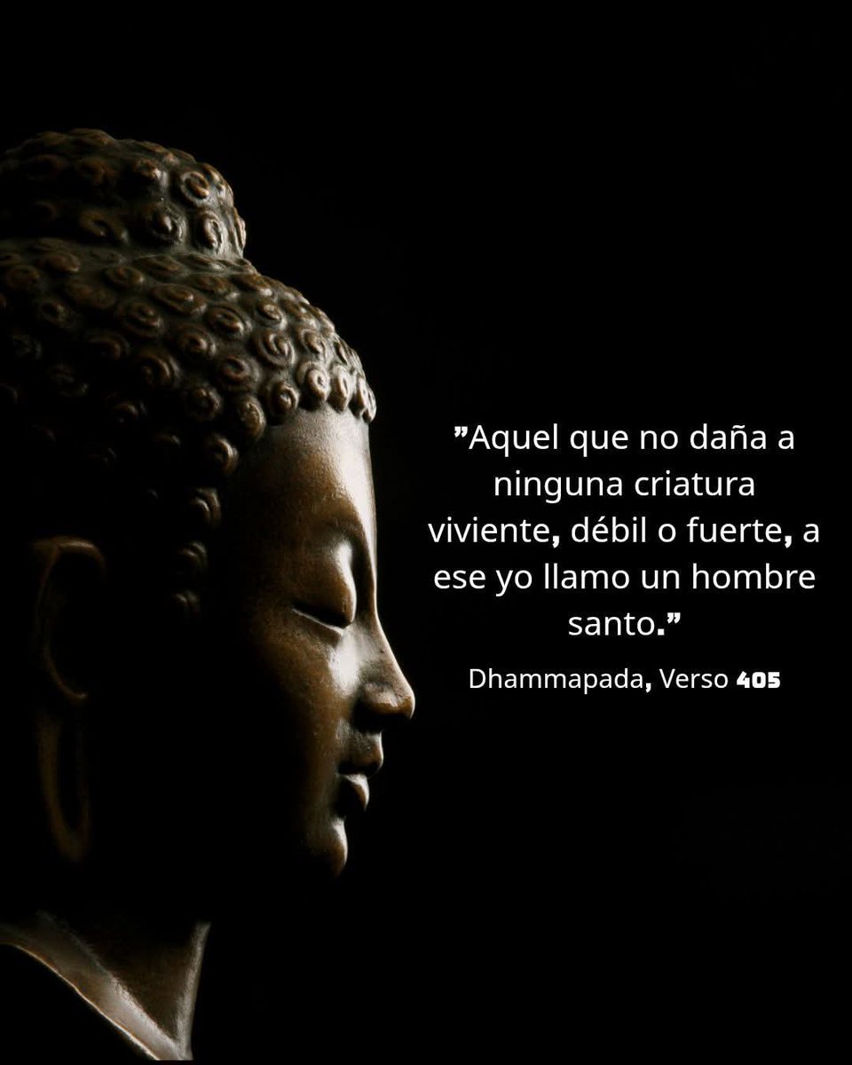 Namaste_Mandala's tweet photo. Para el budismo, la verdadera santidad y elevación espiritual no se miden por títulos ni rituales, sino por nuestra capacidad de respetar y proteger la vida de todos los seres sintientes, desde el más imponente hasta el más indefenso. https://t.co/ikvkuPosLj