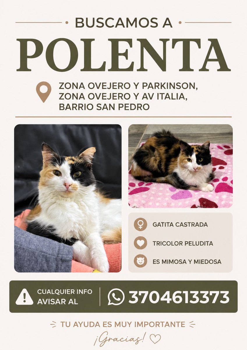 ssolcareaga's tweet photo. TE SEGUIMOS BUSCANDO POLENTA

ZONA SAN PEDRO Y ALREDEDORES 
AV ITALIA 
AV CABRAL https://t.co/N2hWNGcZDD