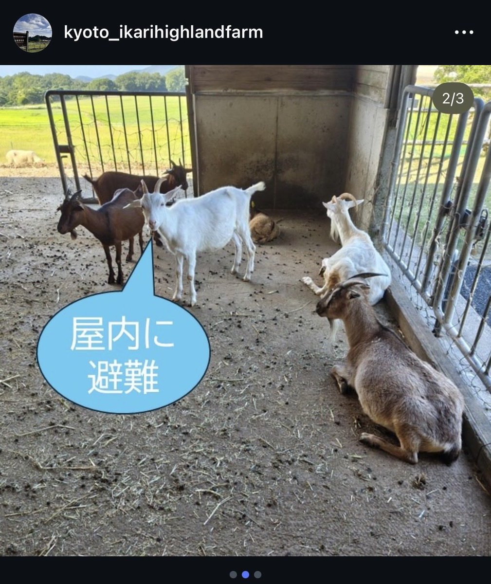 lir69's tweet photo. 生成AIでは出力できない画像 https://t.co/MQRQwusTHU