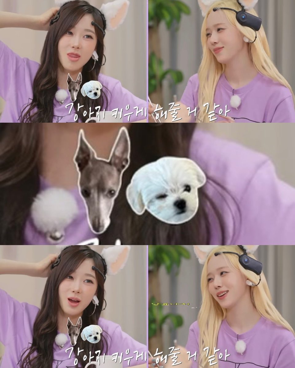 minwinterkimmm's tweet photo. รูปคู่คูเปอร์โปเนียวล่ะน่ารักกกกกก🐶🤍 https://t.co/3VUi2jW5rL