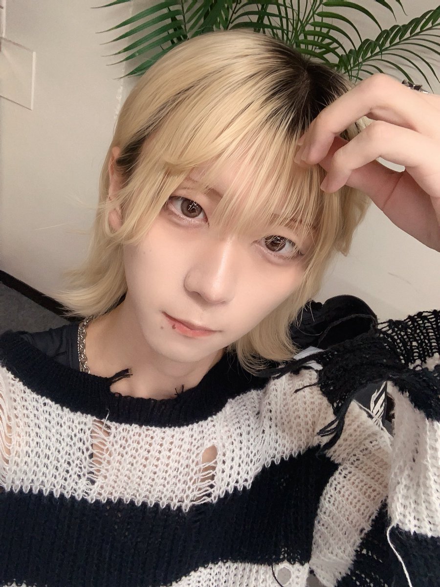 Kaede_mello's tweet photo. 明日は希望撮影会！来れる人DMしてね〜
ライブないけど大盤物販もいます！

大盤リンク⬇️
https://t.co/3JPiMpYWEi… https://t.co/cnKTlJMNLU