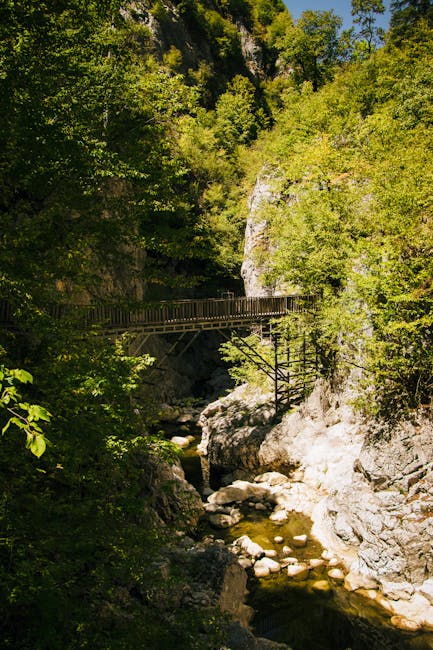 JanieceDelusvy's tweet photo. حكمتك التنقل بي. شكرًا لك. هي الخاص كبيرة. مقالك مساهمة coralee lepri🙌 https://t.co/DjcjvZeRSe