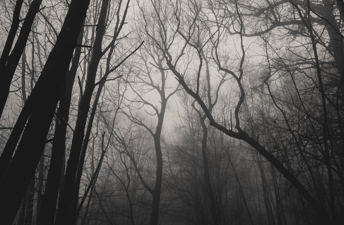 zosphotos's tweet photo. Grey winter days https://t.co/ufW4DlVsBw