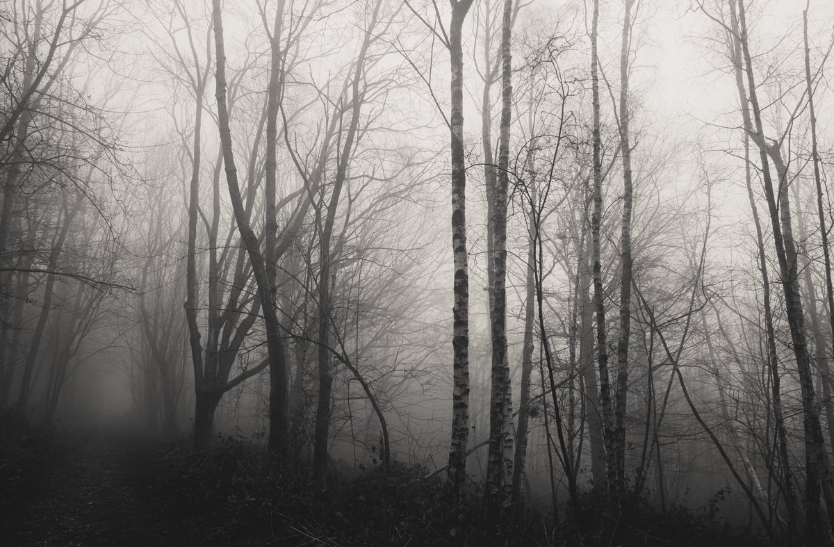 zosphotos's tweet photo. Grey winter days https://t.co/ufW4DlVsBw