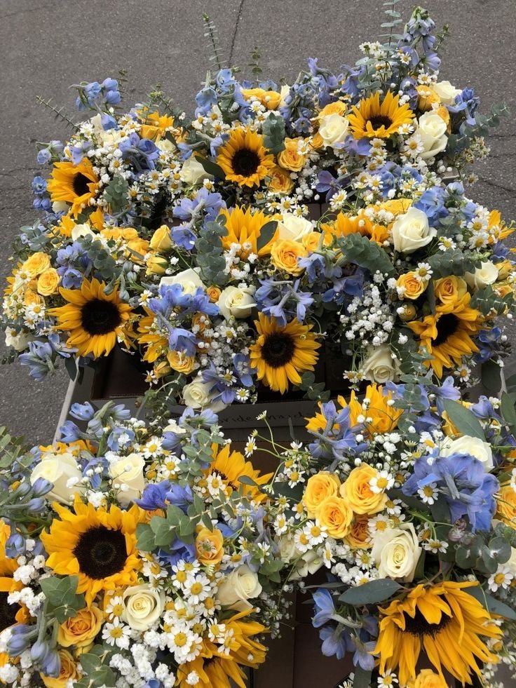bloomifyyy's tweet photo. https://t.co/yw3EbUoNyI