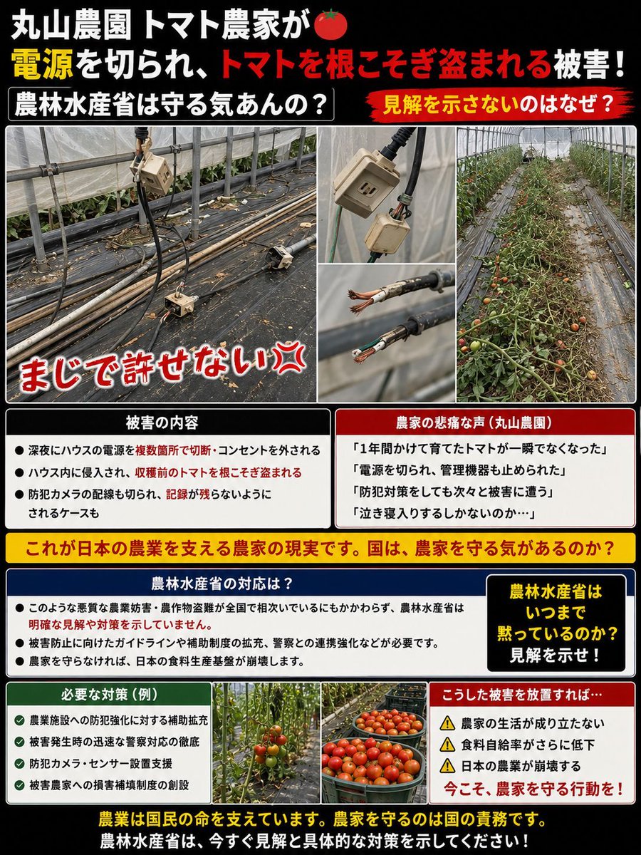 mattariver3's tweet photo. 電源を切ってトマトを根こそぎ盗むとか、農家を完全に潰しに来てる。
これで農水省が何も言わないのはおかしい。 https://t.co/ZlwLubudOw