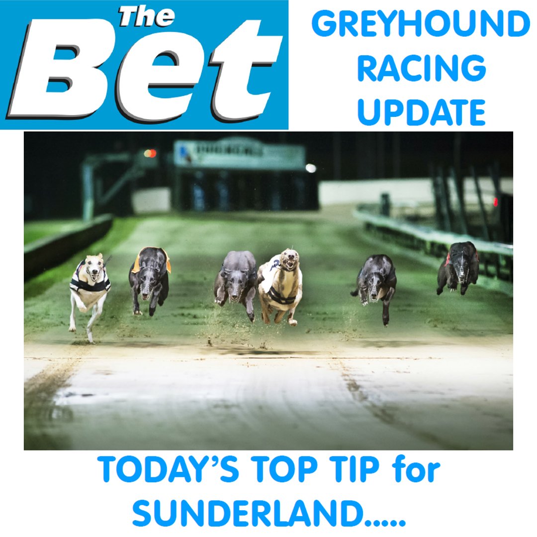 TheBetUK's tweet photo. TODAY’S TOP TIP for Sunderland
Check out today’s top tip https://t.co/Bxc3CjRWfM
#DogRacing #TheBet #Bookies #Betting #Tips #Greyhounds #HotshotHarry #Sunderland
@SunderlandDogs https://t.co/9TVZ2HOs4c
