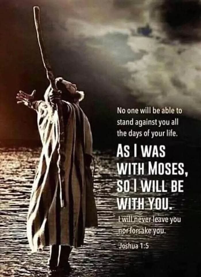 BoEdmonds2's tweet photo. Good Morning!🙏
Joshua 1:5 (KJV) There shall not any man be able to stand before thee all the days of thy life: as I was with Moses, so I will be with thee: I will not fail thee, nor forsake thee.
#GodisWithUsAlways https://t.co/v2YY9l8FMx