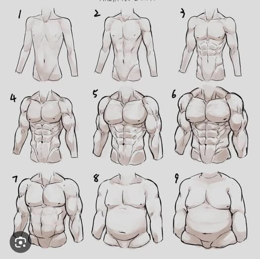 popcomes's tweet photo. Ladies what’s your favorite body type? https://t.co/xRoHLEwwtB