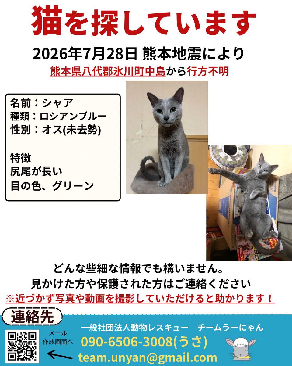 ____Usa's tweet photo. 【📣目撃情報をお願いします📣】

現在チームうーにゃんは、熊本地震で行方不明になった動物たちの捜索活動にあたっています。

地震の影響で、多くの動物たちが家族とはぐれています。

厳しい暑さが続く中、一刻も早く見つけてあげたいです。

「似た子を見かけた」「鳴き声を聞いた」など、どんな小さな情報でも構いません。

見かけた際は、追いかけずに、場所・時間・写真（撮れれば）を記載の連絡先までお知らせください。

team.unyan@gmail.com

090-6506-3008(代表うさ・緊急)

皆さまの情報が、大切な命をつなぐ力になります。

拡散・情報提供のご協力をよろしくお願いいたします。

#熊本地震
#ペット捜索
#行方不明
#迷子犬
#迷子猫