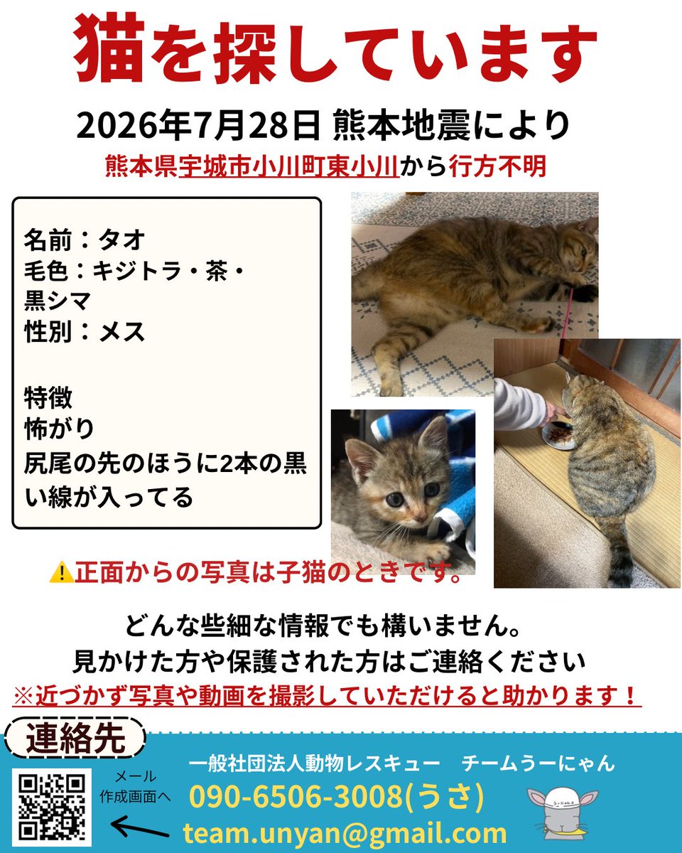 ____Usa's tweet photo. 【📣目撃情報をお願いします📣】

現在チームうーにゃんは、熊本地震で行方不明になった動物たちの捜索活動にあたっています。

地震の影響で、多くの動物たちが家族とはぐれています。

厳しい暑さが続く中、一刻も早く見つけてあげたいです。

「似た子を見かけた」「鳴き声を聞いた」など、どんな小さな情報でも構いません。

見かけた際は、追いかけずに、場所・時間・写真（撮れれば）を記載の連絡先までお知らせください。

team.unyan@gmail.com

090-6506-3008(代表うさ・緊急)

皆さまの情報が、大切な命をつなぐ力になります。

拡散・情報提供のご協力をよろしくお願いいたします。

#熊本地震
#ペット捜索
#行方不明
#迷子犬
#迷子猫