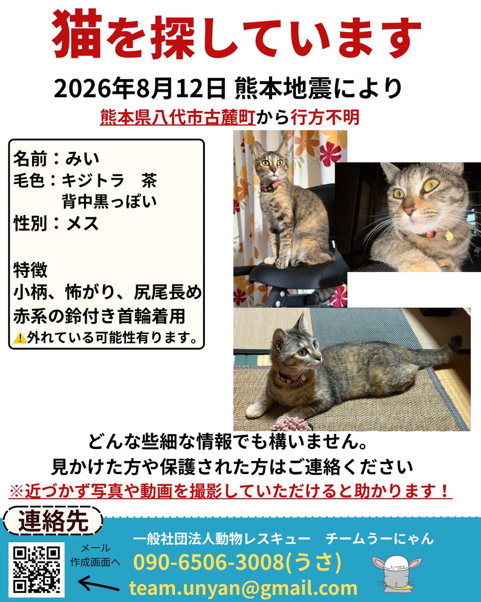____Usa's tweet photo. 【📣目撃情報をお願いします📣】

現在チームうーにゃんは、熊本地震で行方不明になった動物たちの捜索活動にあたっています。

地震の影響で、多くの動物たちが家族とはぐれています。

厳しい暑さが続く中、一刻も早く見つけてあげたいです。

「似た子を見かけた」「鳴き声を聞いた」など、どんな小さな情報でも構いません。

見かけた際は、追いかけずに、場所・時間・写真（撮れれば）を記載の連絡先までお知らせください。

team.unyan@gmail.com

090-6506-3008(代表うさ・緊急)

皆さまの情報が、大切な命をつなぐ力になります。

拡散・情報提供のご協力をよろしくお願いいたします。

#熊本地震
#ペット捜索
#行方不明
#迷子犬
#迷子猫