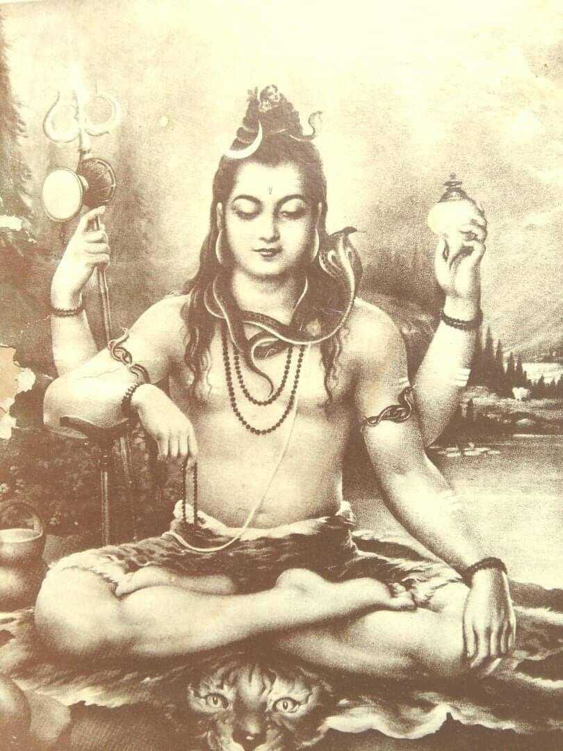 thiahgom's tweet photo. o universo 
sempre conspira
pra quem confia
na própria magia. https://t.co/17y7JhgaLM