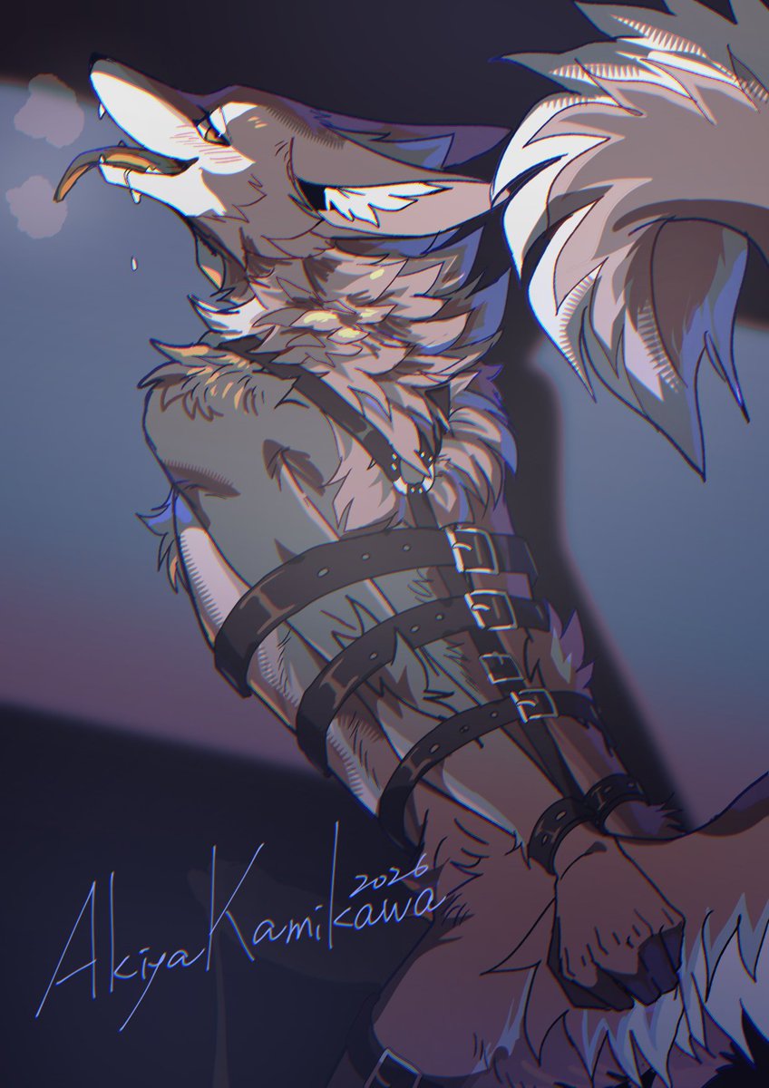 AkiyakamikawaX's tweet photo. CM
🐺💝 https://t.co/Gu5PBaKKgn