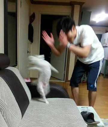 002_0302's tweet photo. ㅅㅂ  아ㅜㅜㅜㅜㅜㅜㅜㅜㅜㅜㅜㅜㅜ https://t.co/nIhv2YsA40