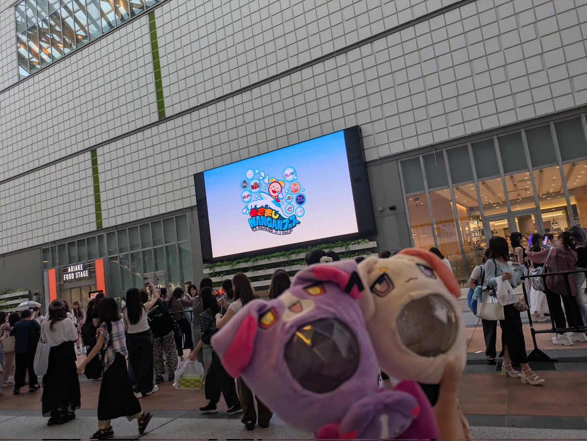___mmgx's tweet photo. めざましライブ楽しかったでい 写真は撮影OKタイムのやつ https://t.co/565l1jqcX5